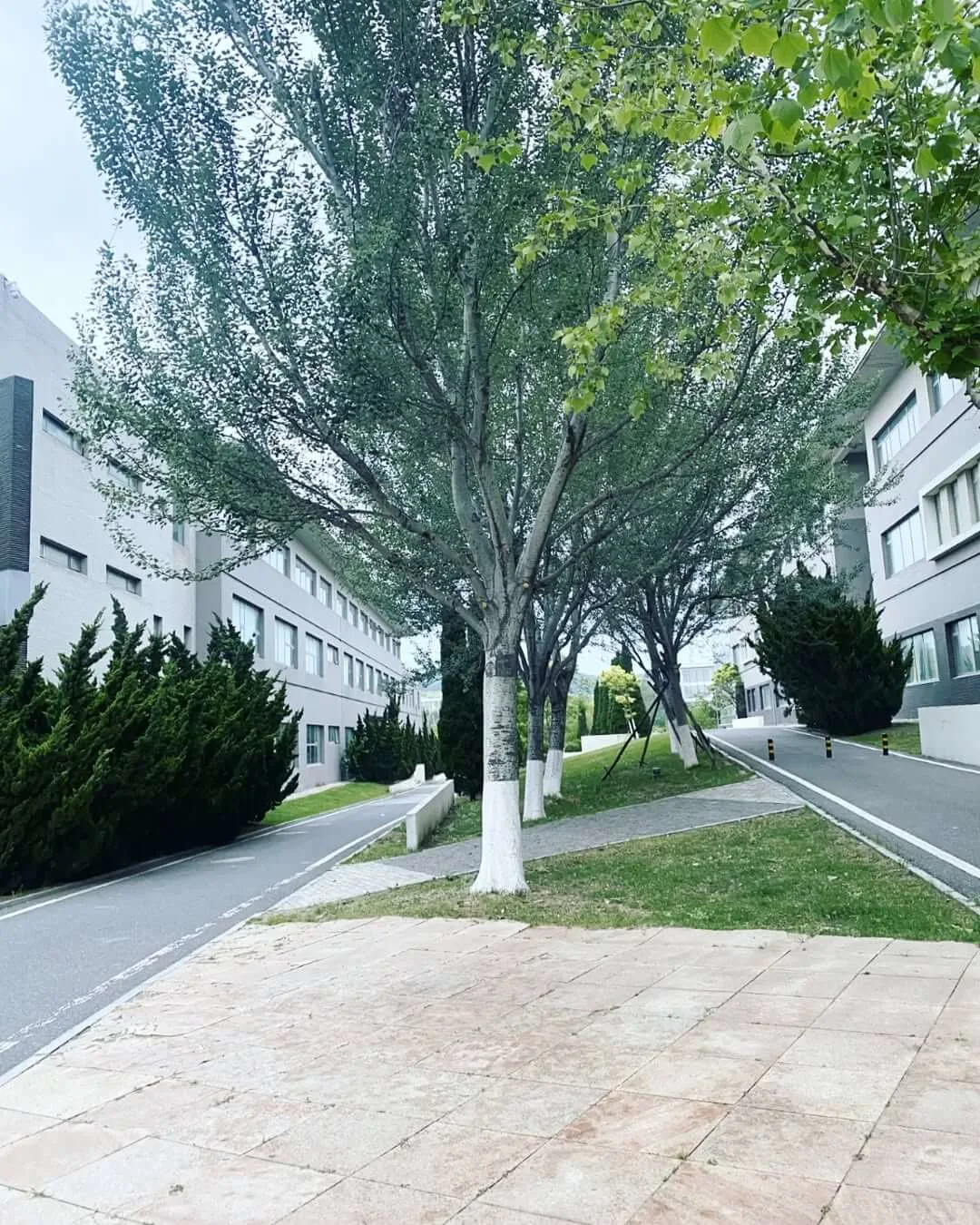 تصویر ۸ از دانشگاه دالیان